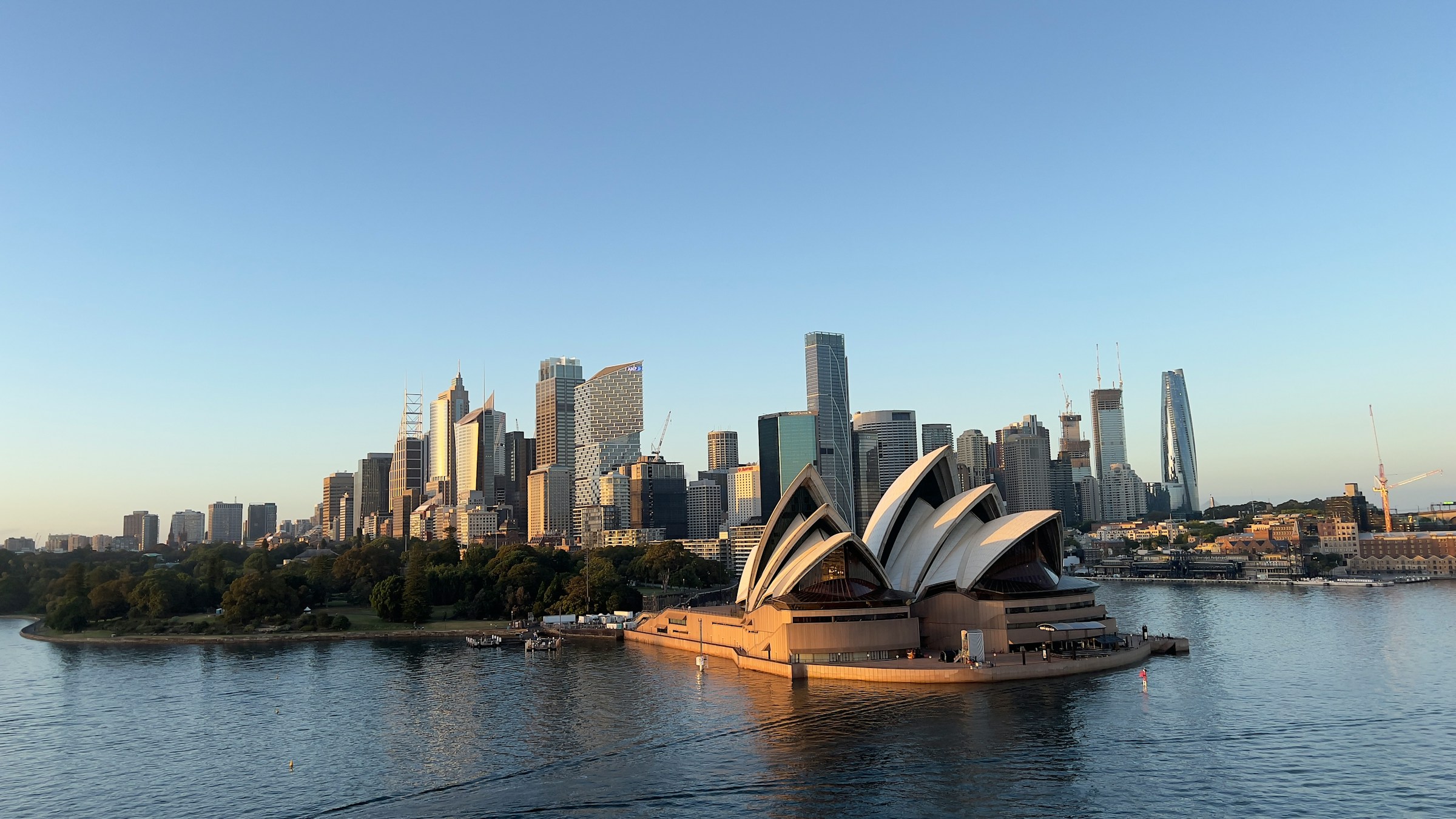 Sydney Harbour from the water, with the city behind it