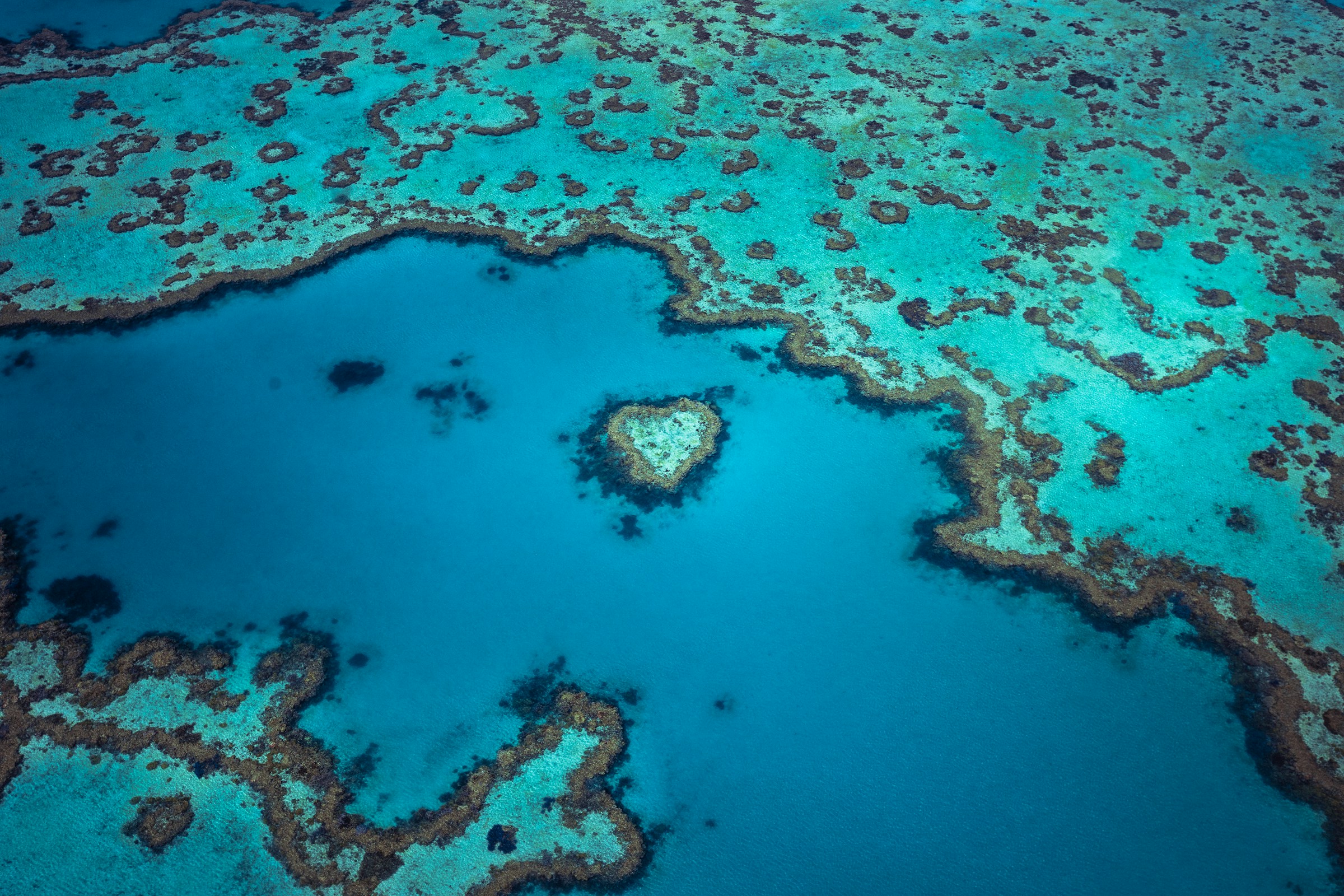 An aerial view of coral reefs in turquoise water on the Great Barrier Reef